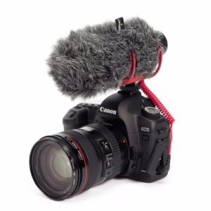 camera microphone