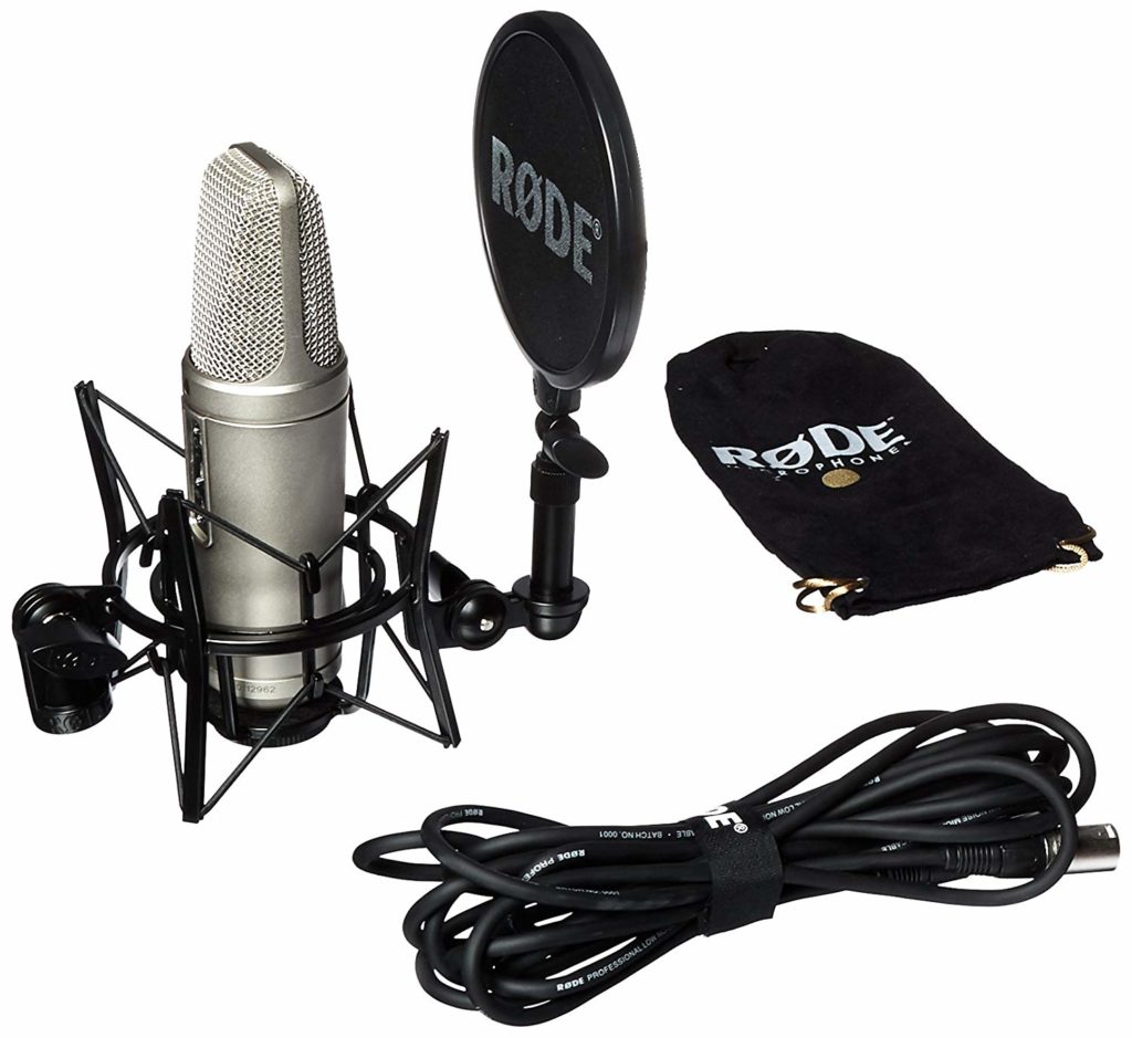 12 Best Voice Over Microphones Mic speech Find the best microphone