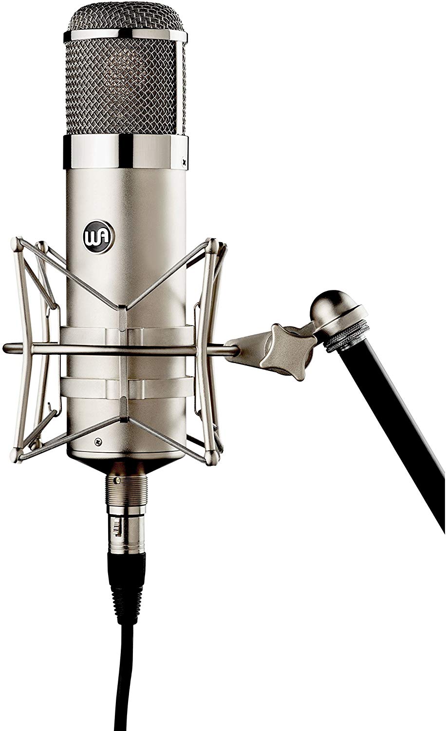 best mic to record vocals at home